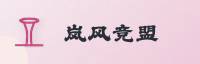 合作伙伴